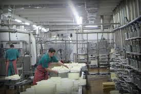 Моющие для молокоперерабатывающих предприятий - фото 2 - id-p39539733
