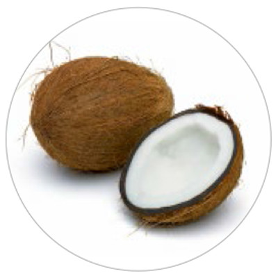 ico-Coconut-Foam