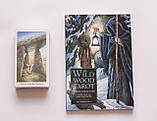 Таро Дикого Лісу ( Wildwood Tarot ) з книгою російською мовою ( Україна ), фото 4