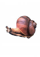 Равлик маленький