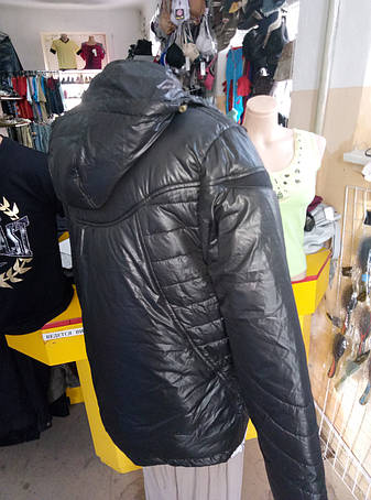 Куртка чоловіча SPORTIFER, фото 2
