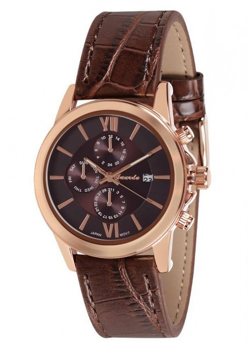 Годинник Guardo 06846 RgBrBr