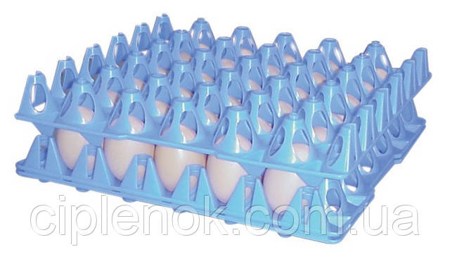 Пластиковые лотки для яиц (60-65 грамм) - фото 1 - id-p573004493