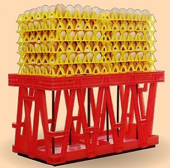 Пластиковые лотки для яиц (60-65 грамм) - фото 5 - id-p573004493