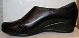 Туфлі на танкетці великого розміру шкіряні від виробника модель ВБ2380, фото 4