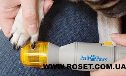 Pedi Paws