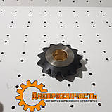 Сателіт диференціалу ЮМЗ з втулкою | Сетеліт заднього моста ЮМЗ, фото 2