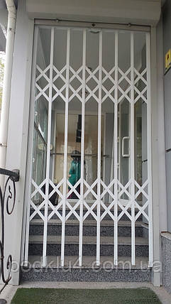 Решітки розсувні з нержавіючої сталі пофарбовані, фото 1