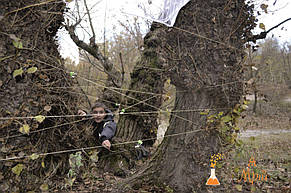 Квест для 7 класса "Стражи  HALLOWEEN"  28.10.2017 9