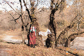 Квест для 7 класса "Стражи  HALLOWEEN"  28.10.2017 11