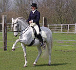 Кінний спорт