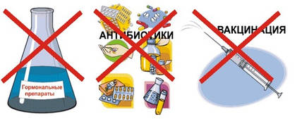 Поєднання ціни та якості.