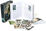 Таро Дикого лісу. The Wild Wood Tarot., фото 7