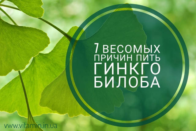 7 вагомих причин пити Гінкго Білоба
