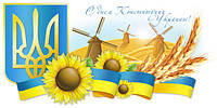 С Днём Конституции Украины!