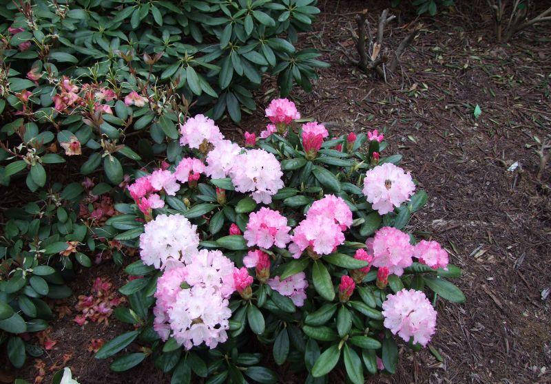 ВКонтактедегі жақсы порно топтар