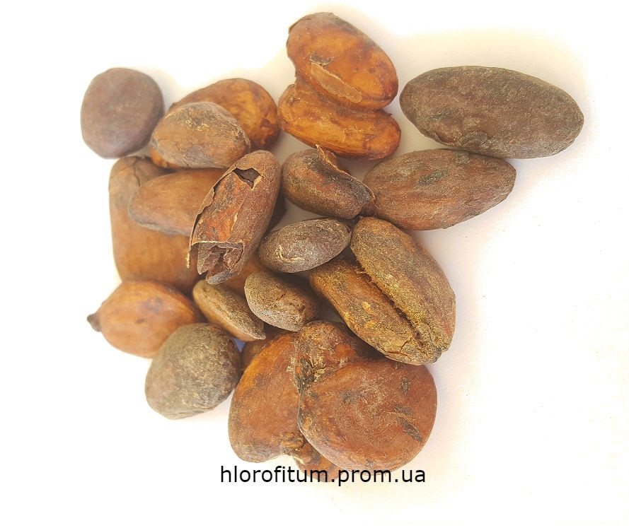 Какао-боби 100 грамів, плоди шоколадного дерева