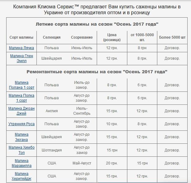 Асортимент саджанцем малини на осінь 2017 року