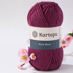 Kartopu Elite Wool (Еліт Вул) 49% вовна,51% акрил