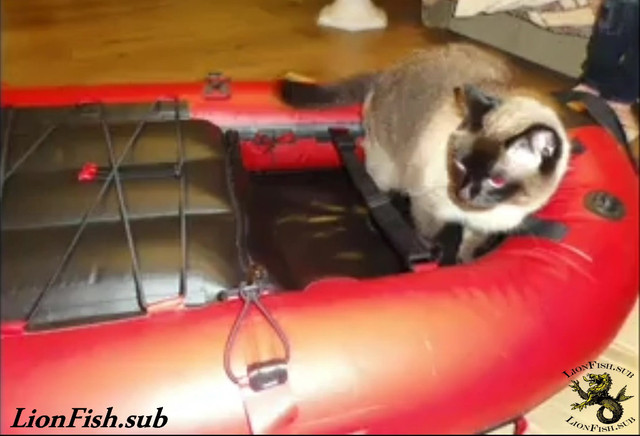 Буй - Плот LionFish.sub, Мини-Лодка для подводного охотника