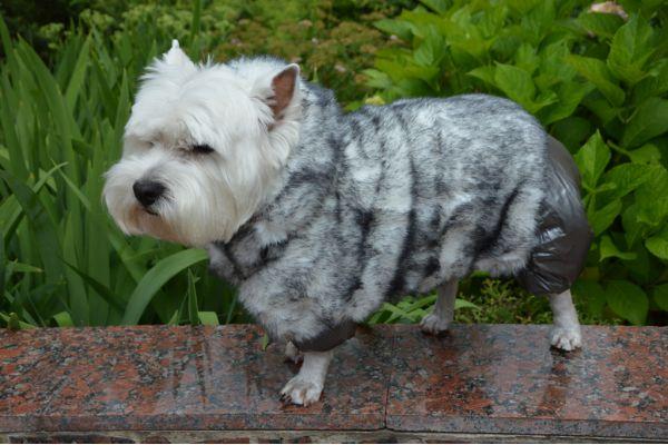 Комбінезон для собаки "Зайка" зимовий, фото 1