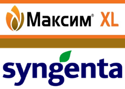 Протравник Максим XL 035 — Syngenta