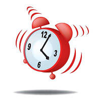 ГРАФІКИ РОБОТИ САЙТУ, МЕНЕДЖІВ, ТВАРИНА, СКЛАДА І МАГАЗИНА