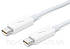 Кабель Apple MD861ZM/A Data Transfer Cable for Mac 2м Thunderbolt to Thunderbolt , фото 2