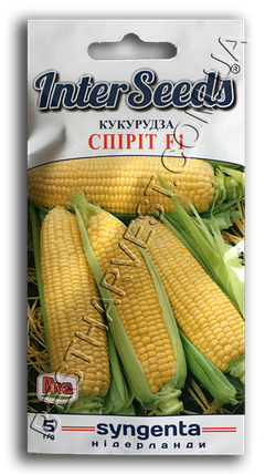 Насіння кукурудзи «Спіріт F1» 5 г, фото 1