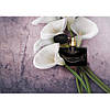 Bvlgari Jasmin Noir l'elixir парфумована вода 75 ml. (Тестер Булгарі Жасмин Ноир Наповнююча Еліксир), фото 8