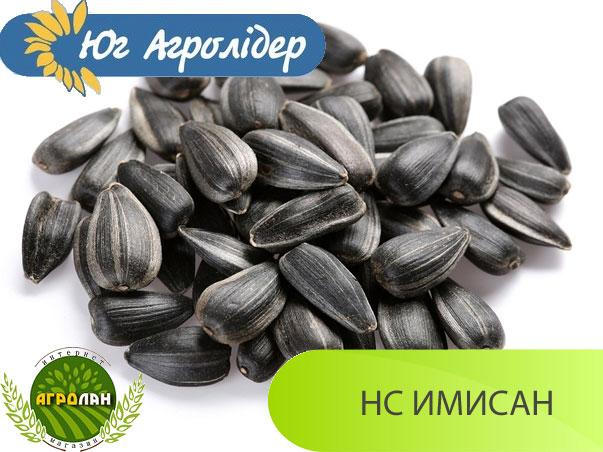 Насіння соняшника НС ІМІСАН (вегетація 110-112дн.) Південь Агролідер, толерантний до Євро-Лайтингу