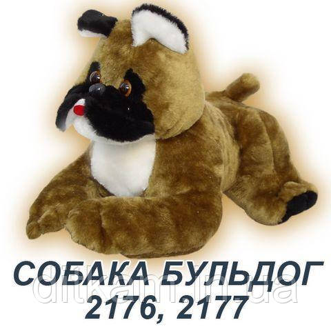 М'яка іграшка Собака Бульдог (50см)