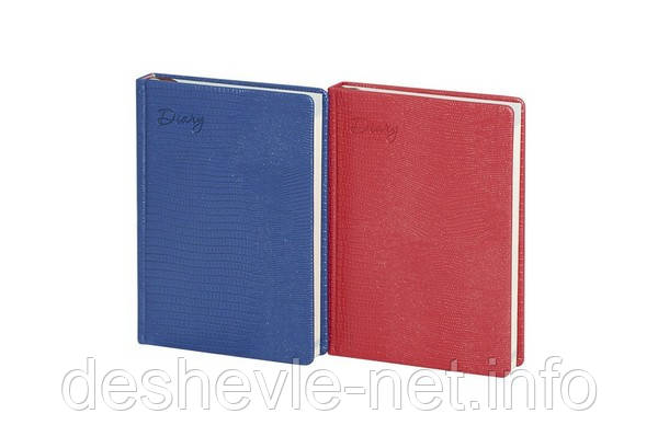 Щоденник напівдатований А5 LIMITED EDITION Клітка, 196л WB5531