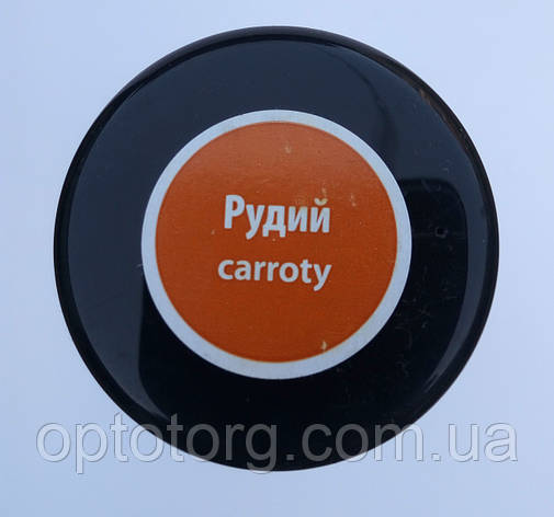 Фарба спрей руда для замші, велюру Блискавка 100мл, фото 1