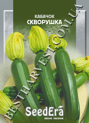 Насіння кабачка «Скворушка» 20 г, фото 1