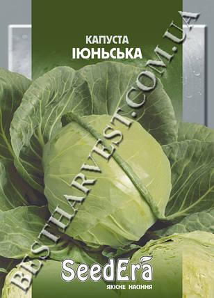 Насіння капусти «Червнева» 10 г, фото 1