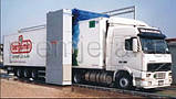 NERTA TRUCK CLEANER 2000, фото 3