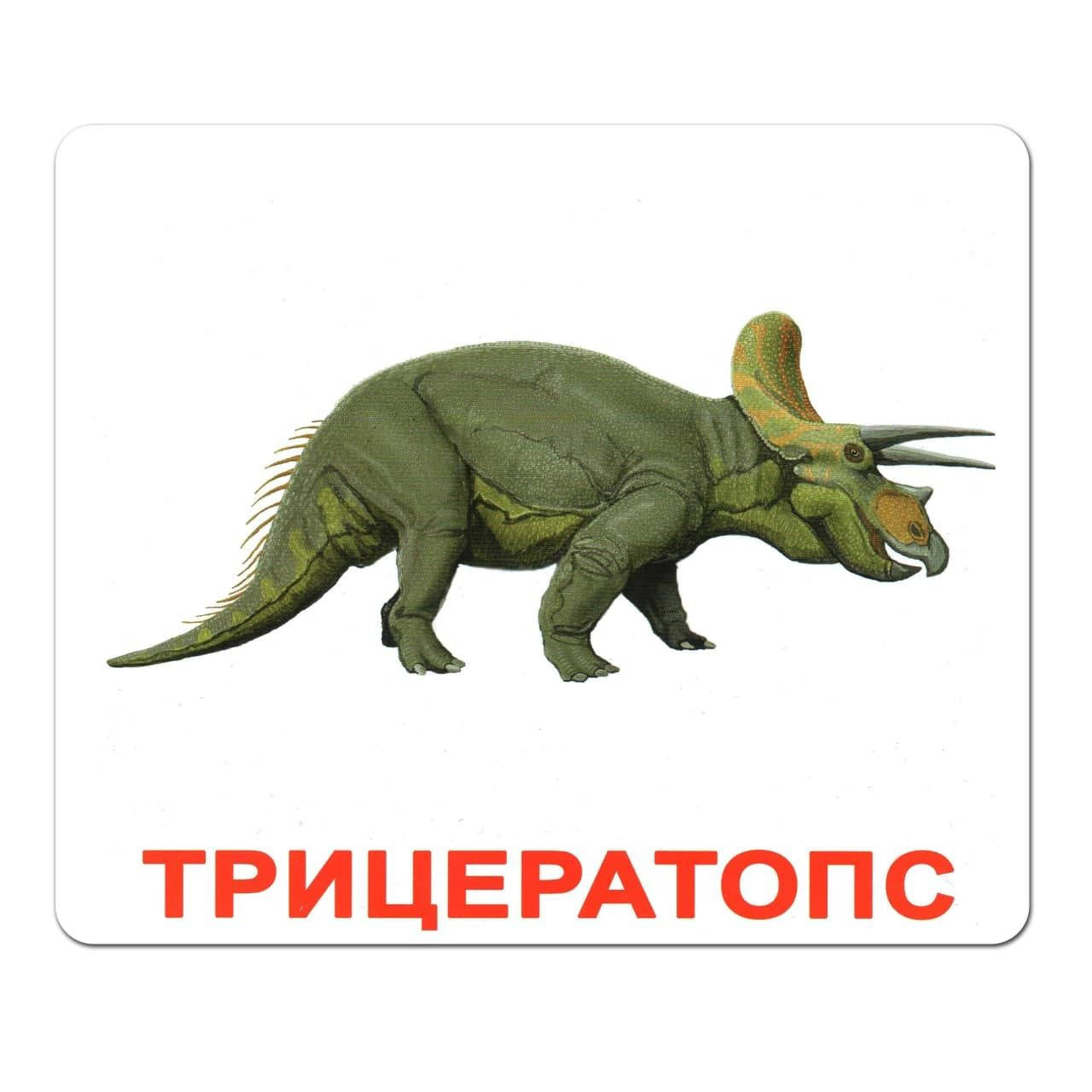 

Карточки Домана "Динозавры" Вундеркинд с пеленок.