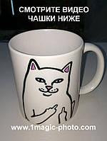 Чашка мем кот с факами кот рипндип