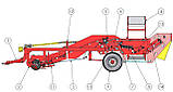 Картоплеубірний комбайн 165NE100-SRRD. Картоплезбиральний комбайн  165NE100-SRRD., фото 2