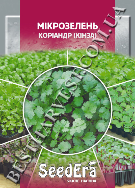 Семена микрозелени «Кинза» 10 г - фото 1 - id-p576761240