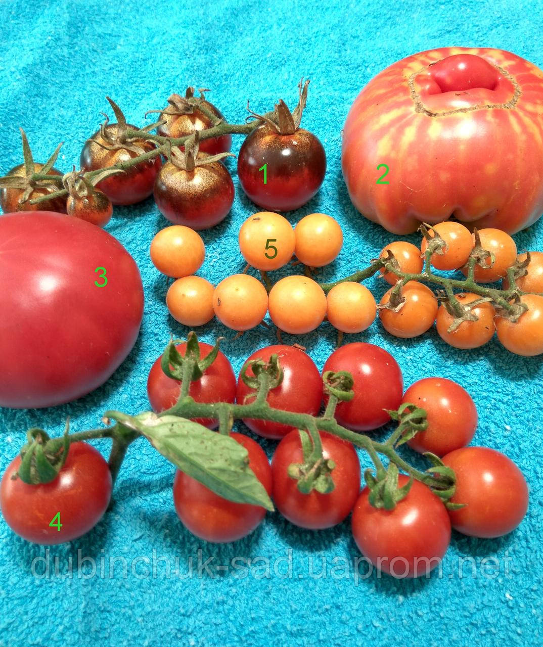 Набір томатів №1