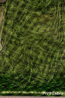 Фатин Америка Print Zebra Apple Green