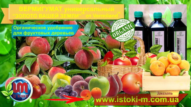 органічне добриво для підживлення фруктових дерев підгодівля фруктових дерев органічним удобрением_купить органічне добриво для сада_вермигумат органічне добриво для фруктових деревьев_подкормка абрикоса_подкормка персика_подкормка яблони_подкормка груши_подкормка черешни_подкормка вишни_подкормка фруктового саду