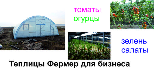 Фермерские теплицы под пленку