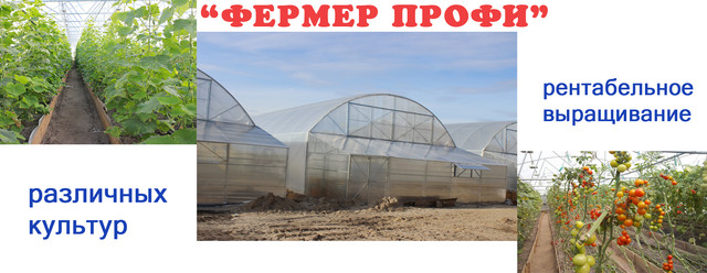 фермерские теплицы Николаев