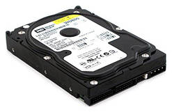 Western Digital WD800 80 Gb.