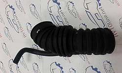 Гофра повітряного фільтра Лачетті 1.6 GROG