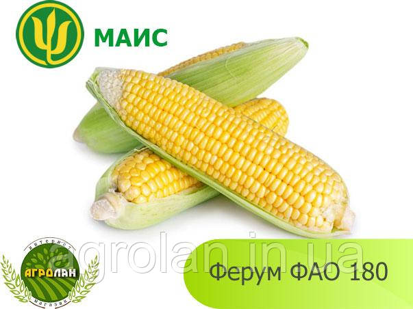 Гібрид Ферум ФАО 180 насіння кукурудзи МАІС