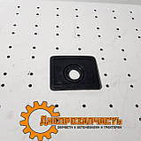 Пильовик цапфи ЮМЗ | 40-3001095, фото 2